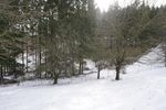 RAA-Online Referenz&auml;nderungsantrag - Fragen und Antworten - AgrarMarkt Austria