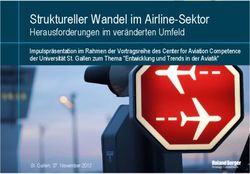 Struktureller Wandel im Airline Sektor - Herausforderungen im ver&auml;nderten Umfeld