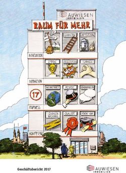 Gesch&auml;ftsbericht 2017 - Auwiesen Immobilien AG