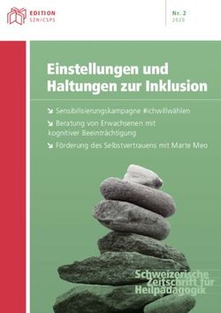 Einstellungen und Haltungen zur Inklusion - Sensibilisierungskampagne #ichwillw&auml;hlen Beratung von Erwachsenen mit kognitiver Beeintr&auml;chtigung ...