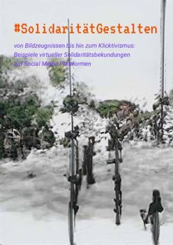 #SolidaritätGestalten - von Bildzeugnissen bis hin zum Klicktivismus: Beispiele virtueller Solidaritätsbekundungen auf Social Media Plattformen