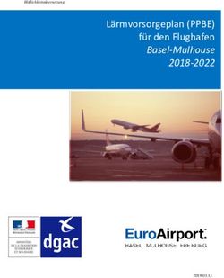 L&auml;rmvorsorgeplan (PPBE) f&uuml;r den Flughafen Basel-Mulhouse 2018-2022