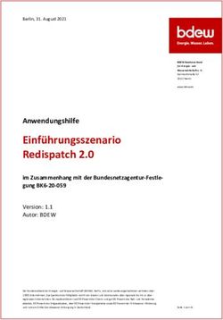 Einführungsszenario Redispatch 2.0 - Anwendungshilfe - BDEW