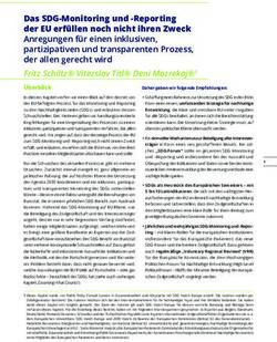 Das SDG-Monitoring und -Reporting der EU erf&uuml;llen noch nicht ihren Zweck Anregungen f&uuml;r einen inklusiven, partizipativen und transparenten ...