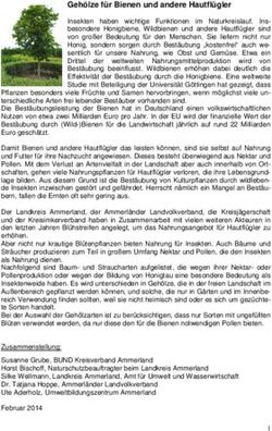 Gehölze für Bienen und andere Hautflügler