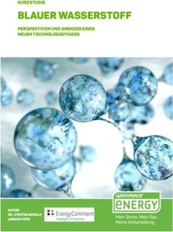 BLAUER WASSERSTOFF KURZSTUDIE PERSPEKTIVEN UND GRENZEN EINES NEUEN TECHNOLOGIEPFADES - Greenpeace Energy