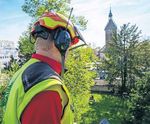 Fellbacher Stadtanzeiger - Stadt ...
