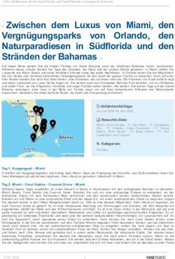 Zwischen dem Luxus von Miami, den Vergn&uuml;gungsparks von Orlando, den Naturparadiesen in S&uuml;dflorida und den Str&auml;nden der Bahamas - Logitravel