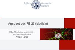 Angebot des FB 20 (Medizin) - WS 2021/2022 MSc "Molekulare und Zellul&auml;re Neurowissenschaften"