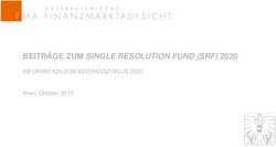 BEITR&Auml;GE ZUM SINGLE RESOLUTION FUND (SRF) 2020 - INFORMATION ZUM BEITRAGSZYKLUS 2020 Wien, Oktober 2019 - FMA