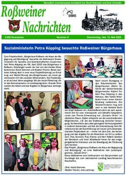 Ro&szlig;weiner - Stadt Ro&szlig;wein