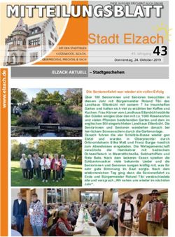 MITTEILUNGSBLATT 43 - Stadt Elzach