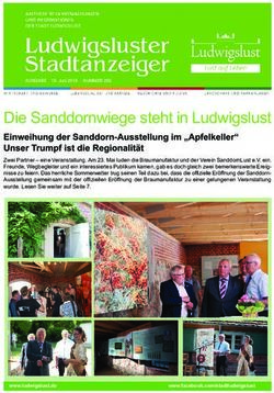 Die Sanddornwiege steht in Ludwigslust - Stadt Ludwigslust