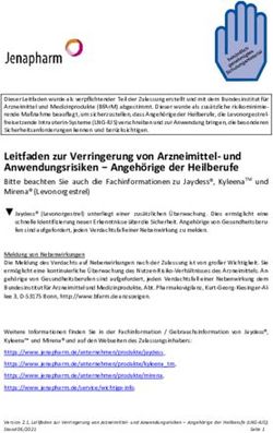LEITFADEN ZUR VERRINGERUNG VON ARZNEIMITTEL- UND ANWENDUNGSRISIKEN ANGEHÖRIGE DER HEILBERUFE - BFARM