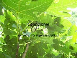 Condylome Aktuelles f&uuml;r Praxis und Alltag - SVA