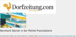 BERNHARD STEINER IN DER PETVET PRAXISGALERIE - DER K&Auml;RNTNER K&Uuml;NSTLER UND TIERARZT STELLT AB 9. OKTOBER 2020 IN DER PRAXISGALERIE DER ...