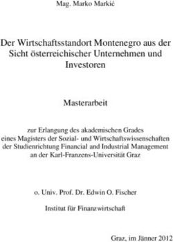 Der Wirtschaftsstandort Montenegro aus der Sicht &ouml;sterreichischer Unternehmen und Investoren - unipub