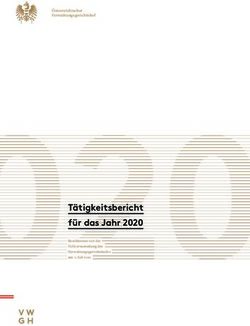 T&auml;tigkeitsbericht f&uuml;r das Jahr 2020 - &Ouml;sterreichischer ...