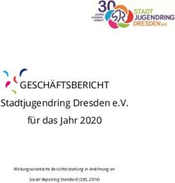 GESCH&Auml;FTSBERICHT Stadtjugendring Dresden e.V. f&uuml;r das Jahr 2020