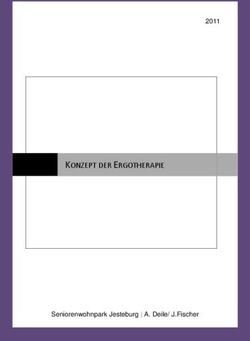 KONZEPT DER ERGOTHERAPIE 2011