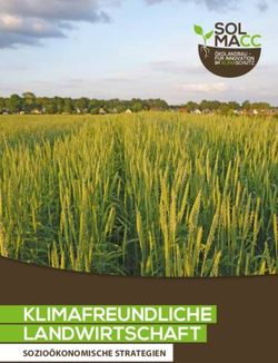 KLIMAFREUNDLICHE LANDWIRTSCHAFT - SOZIOÖKONOMISCHE STRATEGIEN - SOLMACC