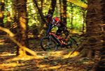 Full Carbon E-bikEs - racing shop wiesinger