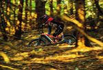 Full Carbon E-bikEs - racing shop wiesinger