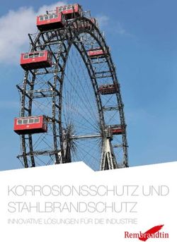 KORROSIONSSCHUTZ UND STAHLBRANDSCHUTZ - INNOVATIVE L&Ouml;SUNGEN F&Uuml;R DIE INDUSTRIE