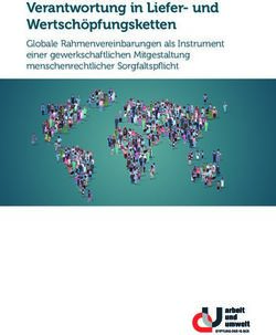 Verantwortung in Liefer- und Wertsch&ouml;pfungsketten - Globale Rahmenvereinbarungen als Instrument einer gewerkschaftlichen Mitgestaltung ...