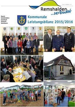Kommunale Leistungsbilanz 2015/2016 - Gemeinde ...