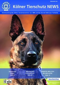 Kölner Tierschutz NEWS - kostenlos WIR SUCHEN EIN ZUHAUSE - Tierheim Köln-Zollstock