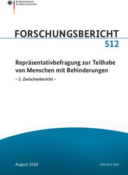 512 Repr&auml;sentativbefragung zur Teilhabe von Menschen mit Behinderungen- 2. Zwischenbericht- BMAS