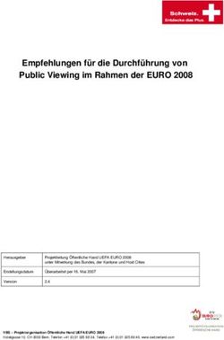 Empfehlungen für die Durchführung von Public Viewing im Rahmen der EURO 2008