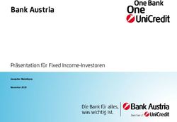 Bank Austria Präsentation für Fixed Income-Investoren - Investor Relations