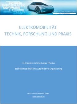 ELEKTROMOBILIT&Auml;T TECHNIK, FORSCHUNG UND PRAXIS - Ein Guide rund um das Thema Elektromobilit&auml;t im Automotive Engineering