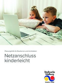 Netzanschluss kinderleicht - Planungshilfe f&uuml;r Bauherren und Architekten - Stadtwerke Weilburg