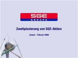 Zweitplazierung von SGE-Aktien - Januar - Februar 2000