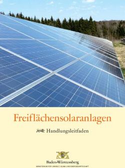 Freiflächensolaranlagen - Handlungsleitfaden - Hamburg Institut