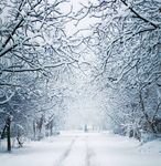 Sprachrohr Die Zeitschrift der Studierendenschaft der FernUniversität in Hagen Ausgabe 4/2016 - Fernstudis