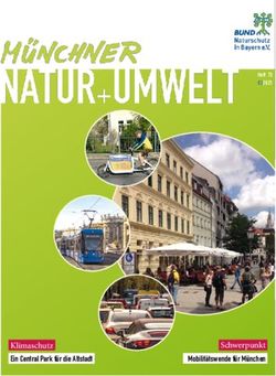 Schwerpunkt Mobilit&auml;tswende f&uuml;r M&uuml;nchen - Klimaschutz - BUND Naturschutz Kreisgruppe M&uuml;nchen