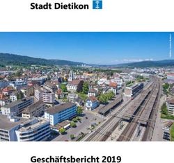 Gesch&auml;ftsbericht 2019 - Stadt Dietikon