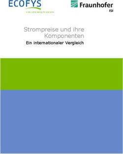 Strompreise und ihre Komponenten - Ein internationaler Vergleich