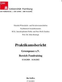 PRAKTIKUMSBERICHT GREENPEACE E.V. BEREICH FUNDRAISING - WISO-FAKULTÄT
