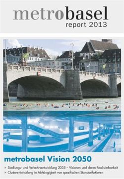 Metrobasel Vision 2050 - report 2013 - Siedlungs- und Verkehrsentwicklung 2035 - Visionen und deren Realisierbarkeit Clusterentwicklung in ...