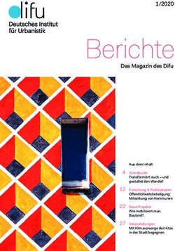 Das Magazin des Difu 1/2020