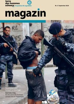 Law and Order Widerstand gegen Rassismus und Gewalt in Brasilien Zum Geburtstag 60 Jahre terre des hommes schweiz und ein Pilotprojekt