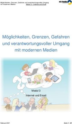 M&ouml;glichkeiten, Grenzen, Gefahren und verantwortungsvoller Umgang mit modernen Medien - Modul 3 Internet und Email - N&Ouml; Media