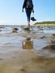 Frühling an der Nordsee - wahlweise - Klasse-Sonderzugreise im nostalgischen AKE-RHEINGOLD "Sylt oder St. Peter-Ording" vom 21. bis 25. März ...