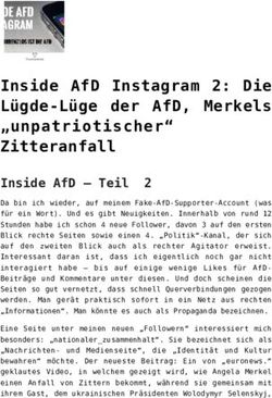 INSIDE AFD INSTAGRAM 2: DIE L&Uuml;GDE-L&Uuml;GE DER AFD, MERKELS "UNPATRIOTISCHER" ZITTERANFALL