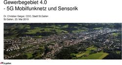 Gewerbegebiet 4.0 - 5G Mobilfunknetz und Sensorik - Dr. Christian Geiger, CDO, Stadt St.Gallen St.Gallen, 23. Mai 2019
